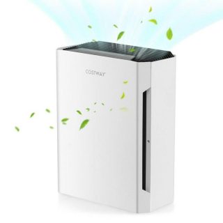 Air Purifiers | H13 True HEPA Air Purifier with Adjustable Wind Speeds White Air Purifiers Air Purifiers