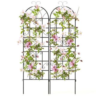 Decorative Fencing & Flooring | 2/4 Pack 71 x 20 Inch Metal Garden Trellis for Climbing Plants Black Decorative Accessories Black