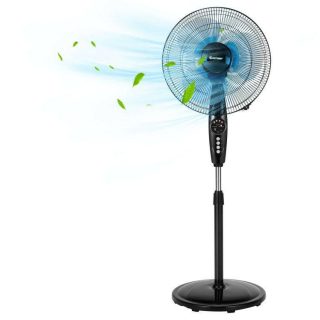 Fans | 16 Inches Adjustable Height Fan with Quiet Oscillating Stand for Home and Office Black Climate Control Appliances Black