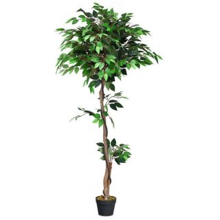 Faux Plants | 5.5 Feet Artificial Ficus Silk Tree with Wood Trunks Decorative Accessories Faux Plants